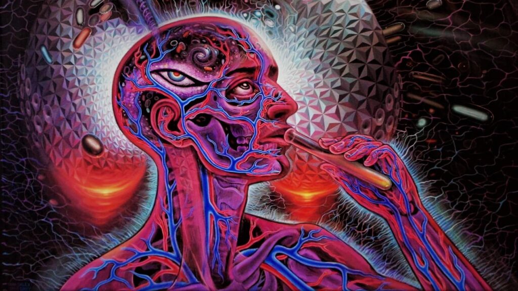 The Effects of DMT