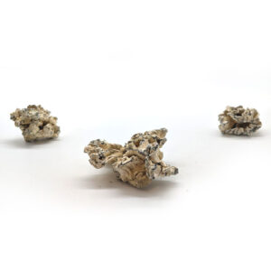 Three clumps of coral-like white and beige rocks, resembling the Enigma (Potent) (Copy) strain, are dispersed on a plain white background.