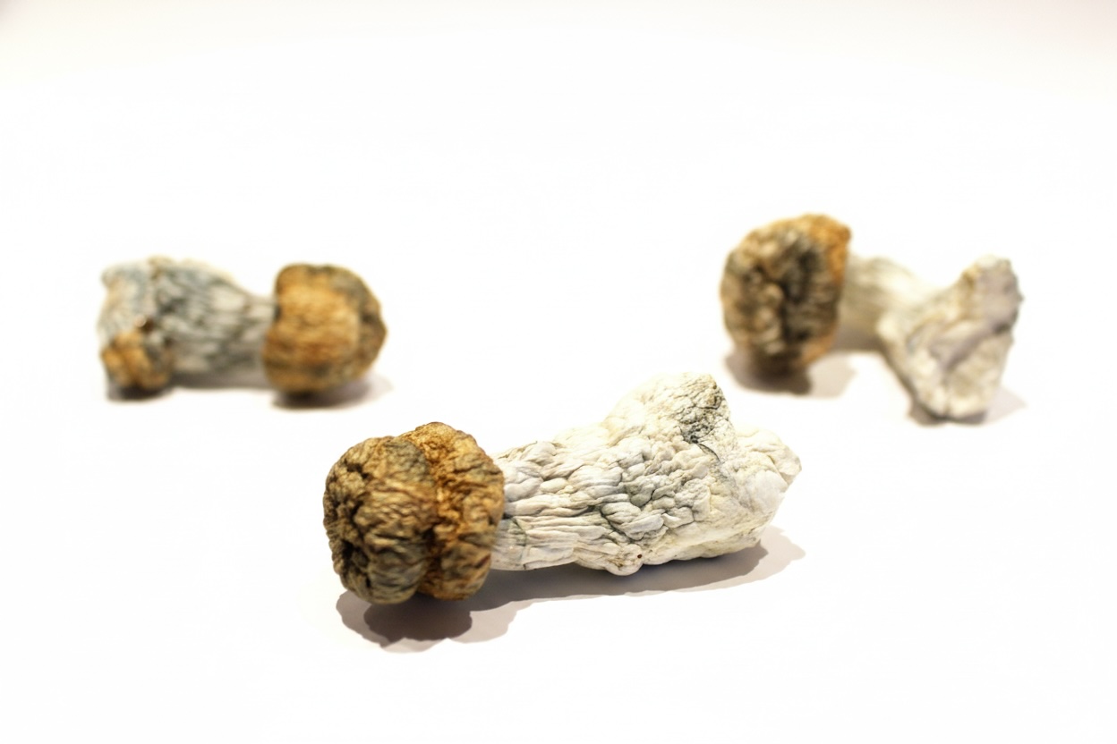 Trinity Magic Mushrooms